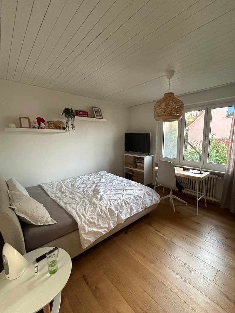 WG-Zimmer in Zürich (2)