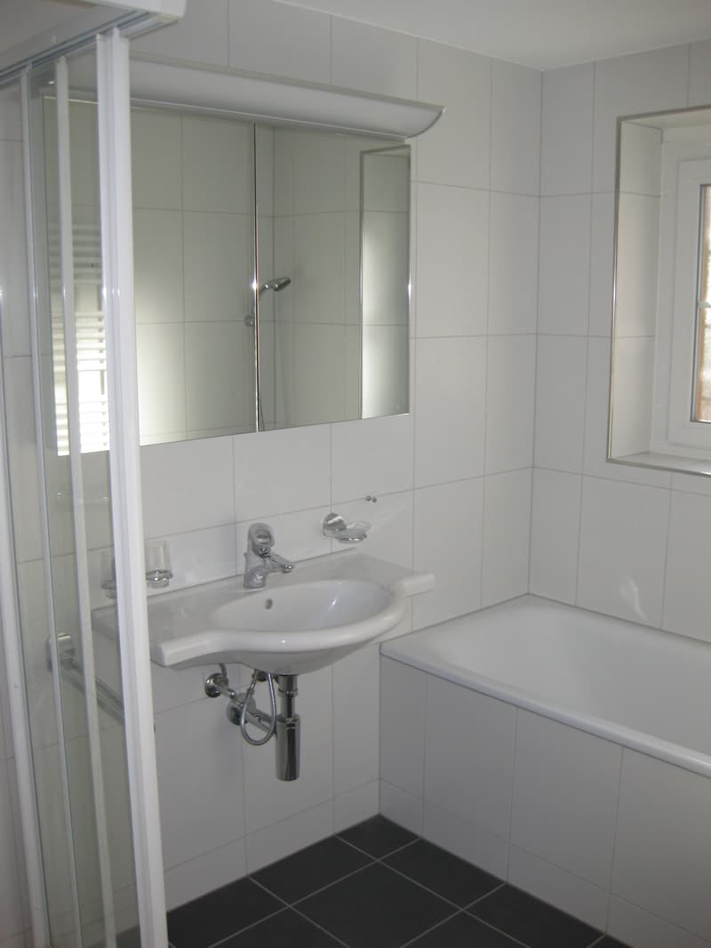 WG-Zimmer in Maienfeld (5)