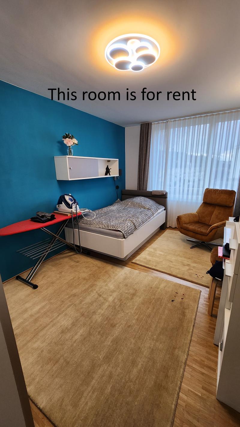 WG-Zimmer in Zürich (3)