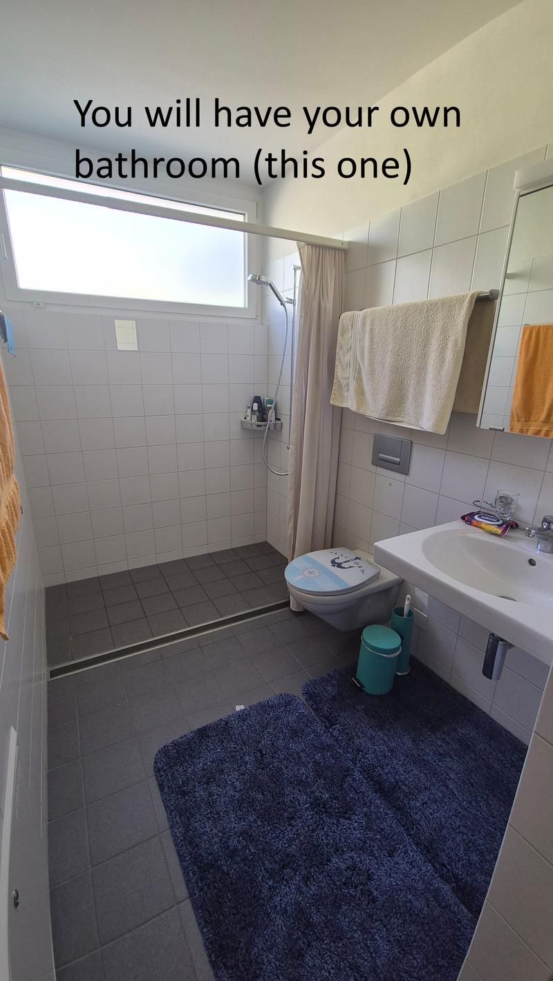 WG-Zimmer in Zürich (1)