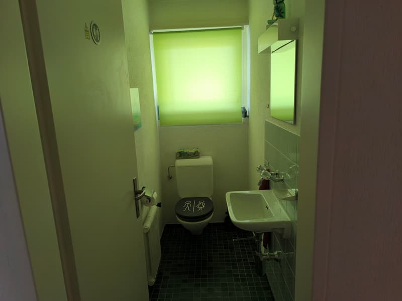 Room in shared flat in Wettswil (4)