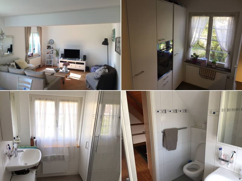 Room in shared flat in Winterthur (1)