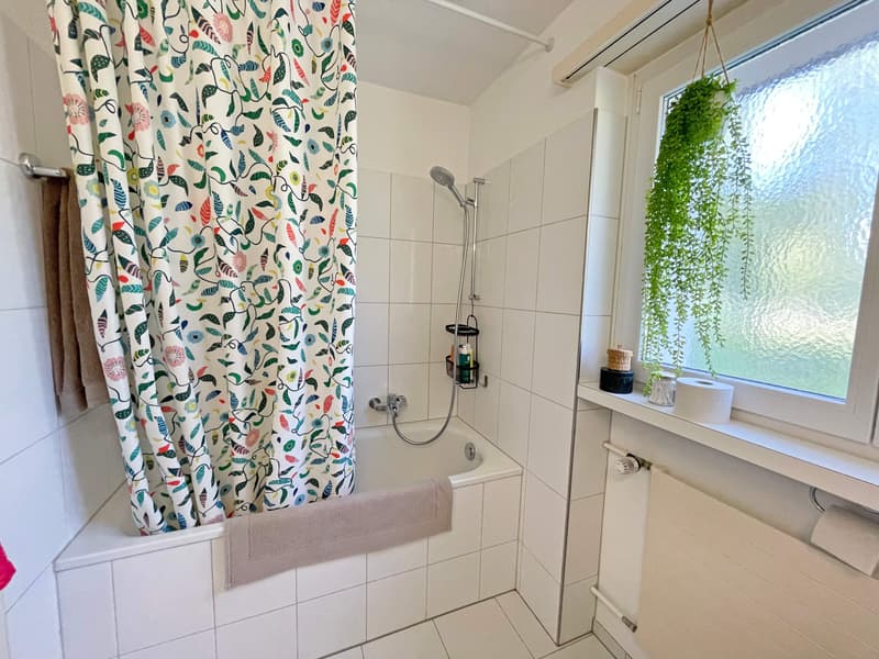 WG-Zimmer in Uster (8)