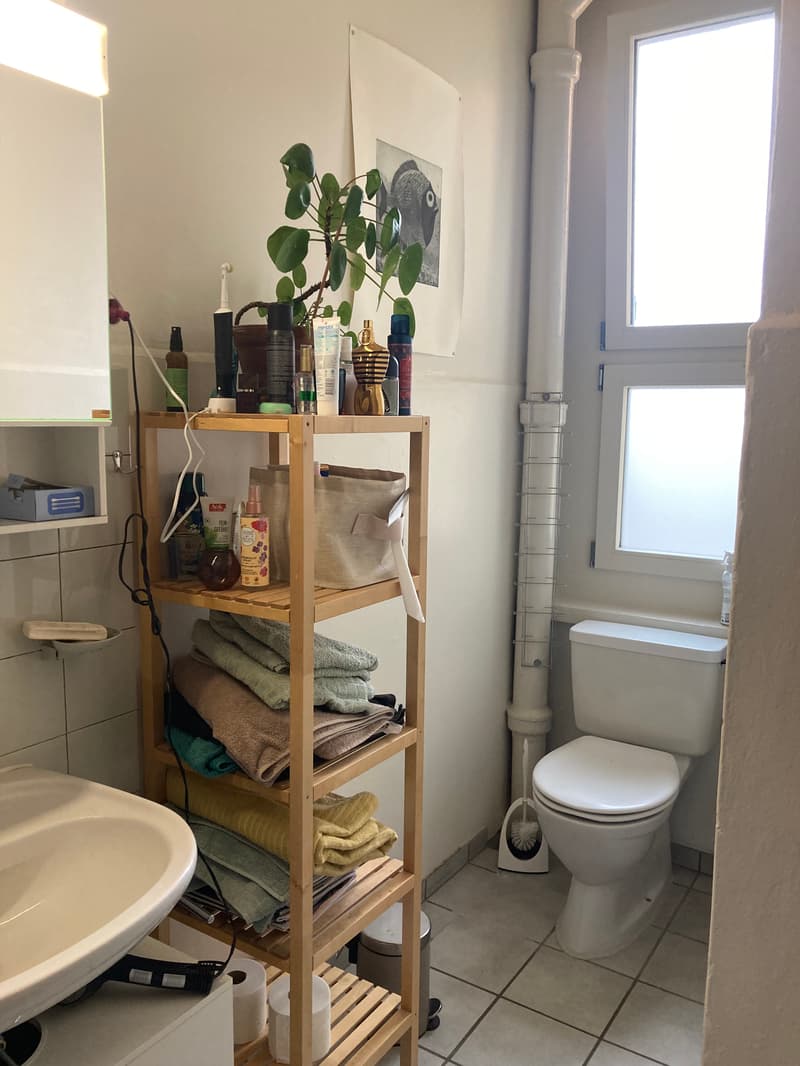 WG-Zimmer in Bern (4)