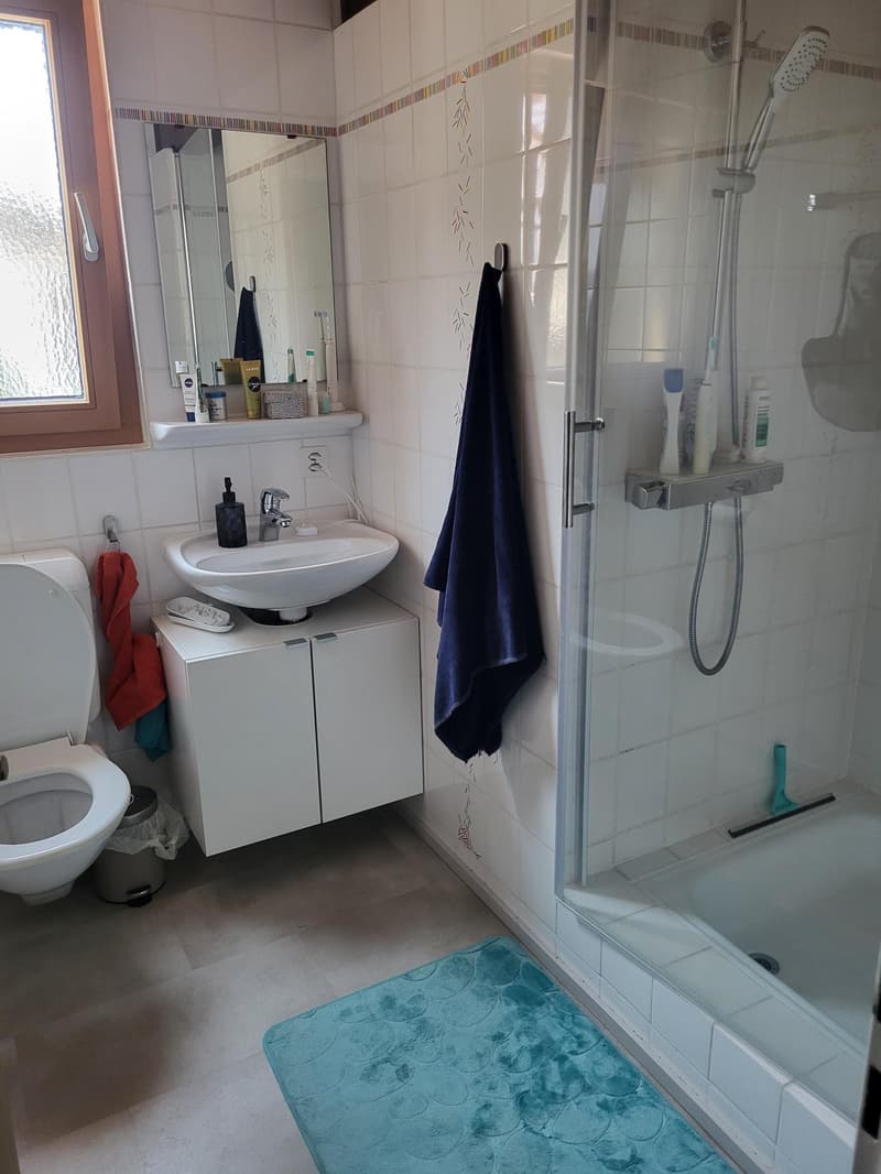 WG-Zimmer in Stein AG (5)