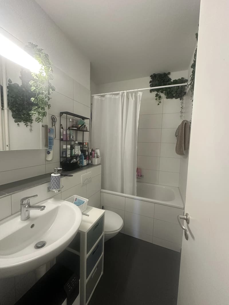 WG-Zimmer in Bern (5)