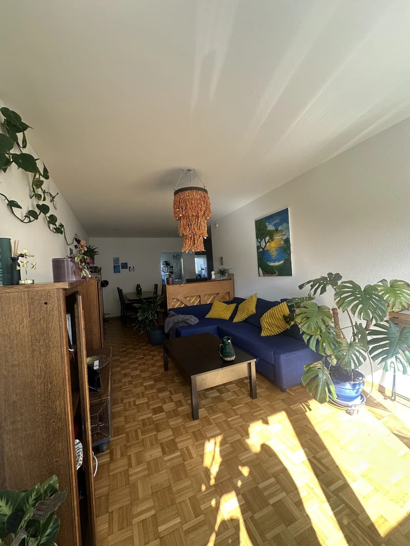 WG-Zimmer in Bern (3)