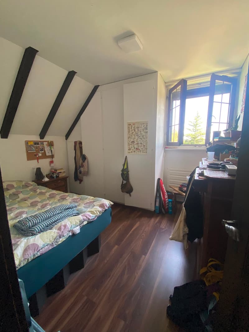 Chambre en colocation à Fribourg (4)