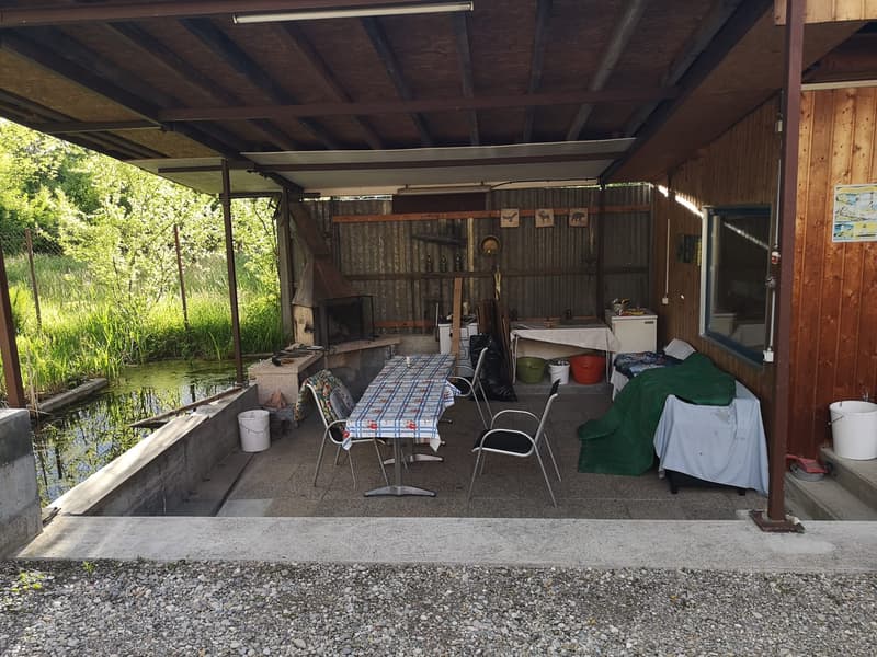 WG-Zimmer in Lyss (6)