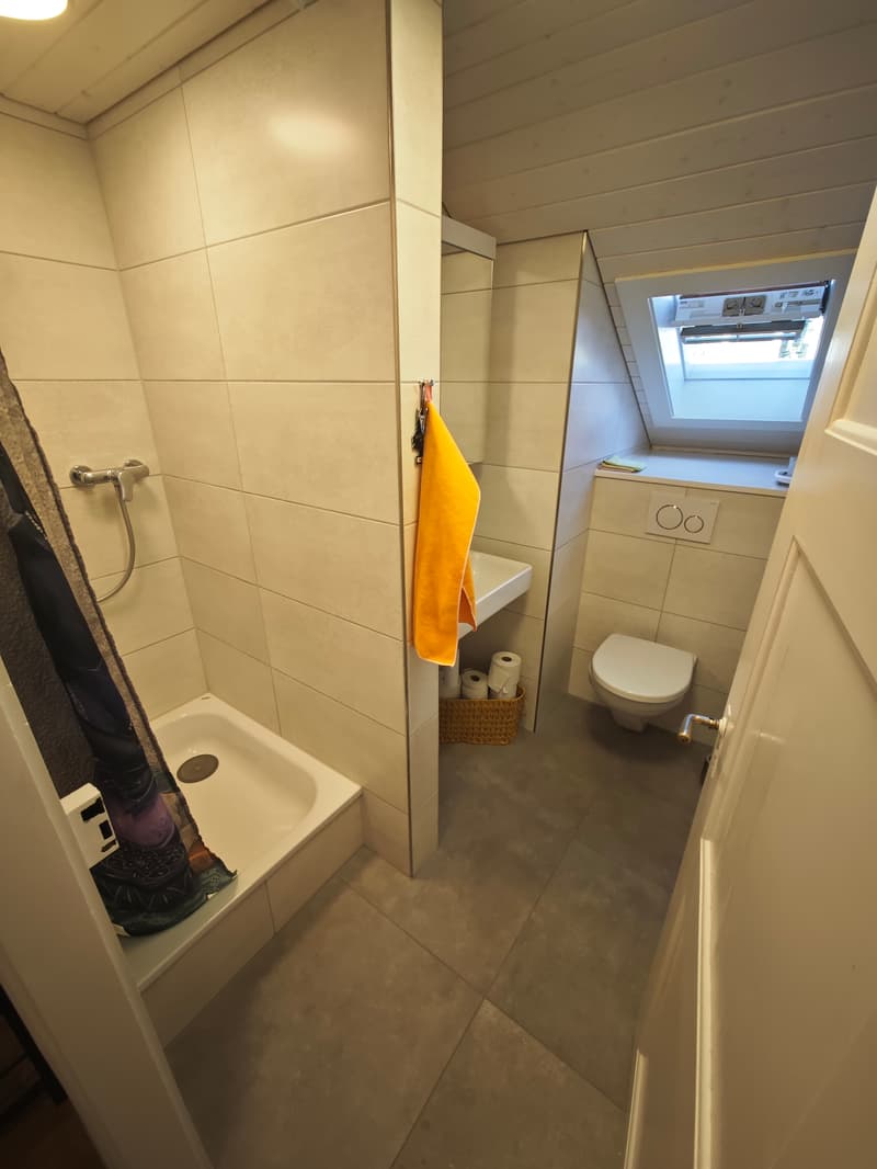 WG-Zimmer in Thun (3)