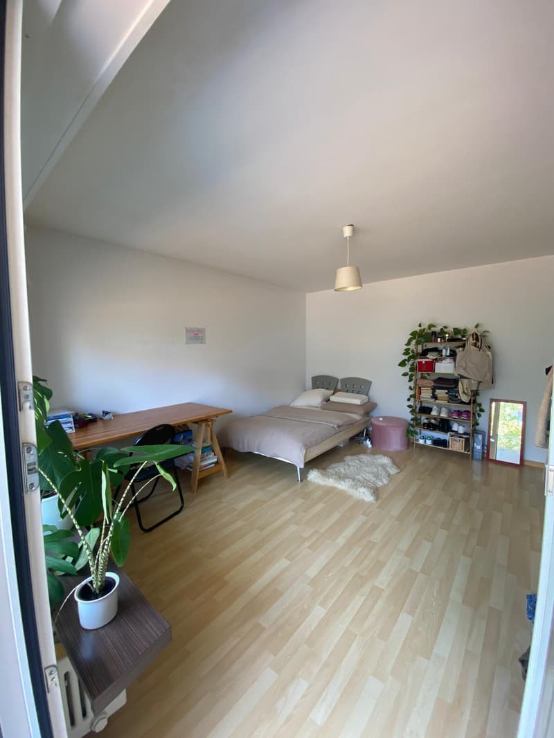 WG-Zimmer in Bern (3)
