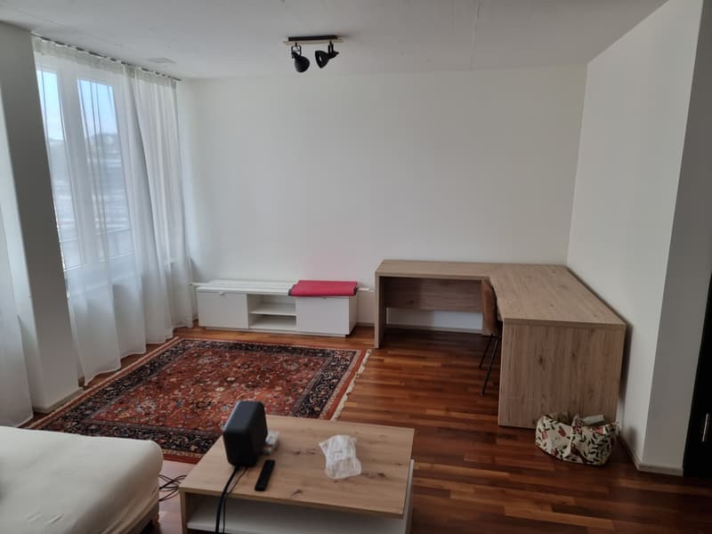 WG-Zimmer in Zürich (8)