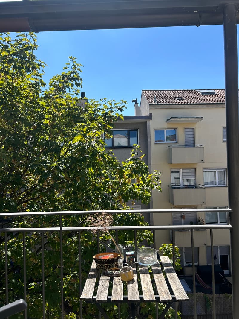 WG-Zimmer in Basel (4)