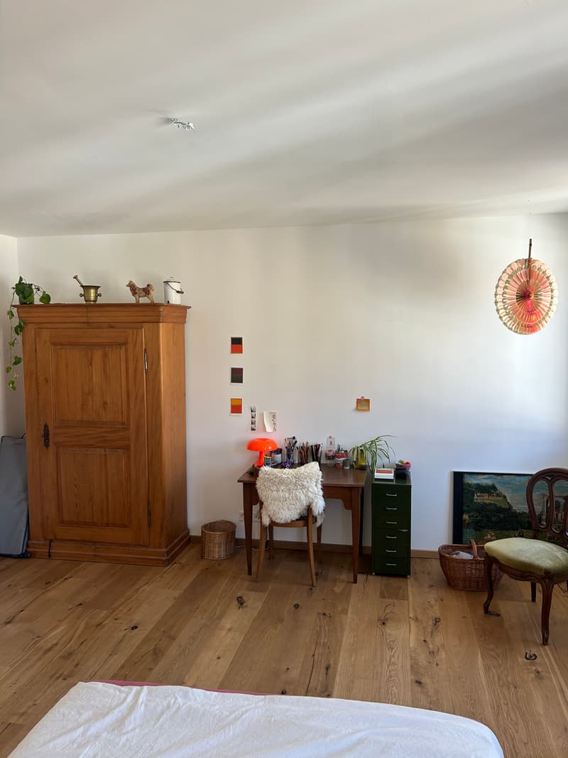 WG-Zimmer in Basel (1)