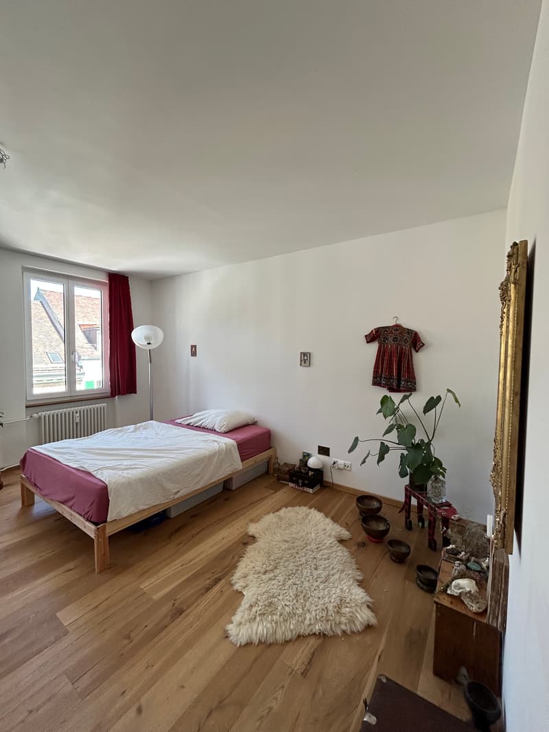 WG-Zimmer in Basel (3)