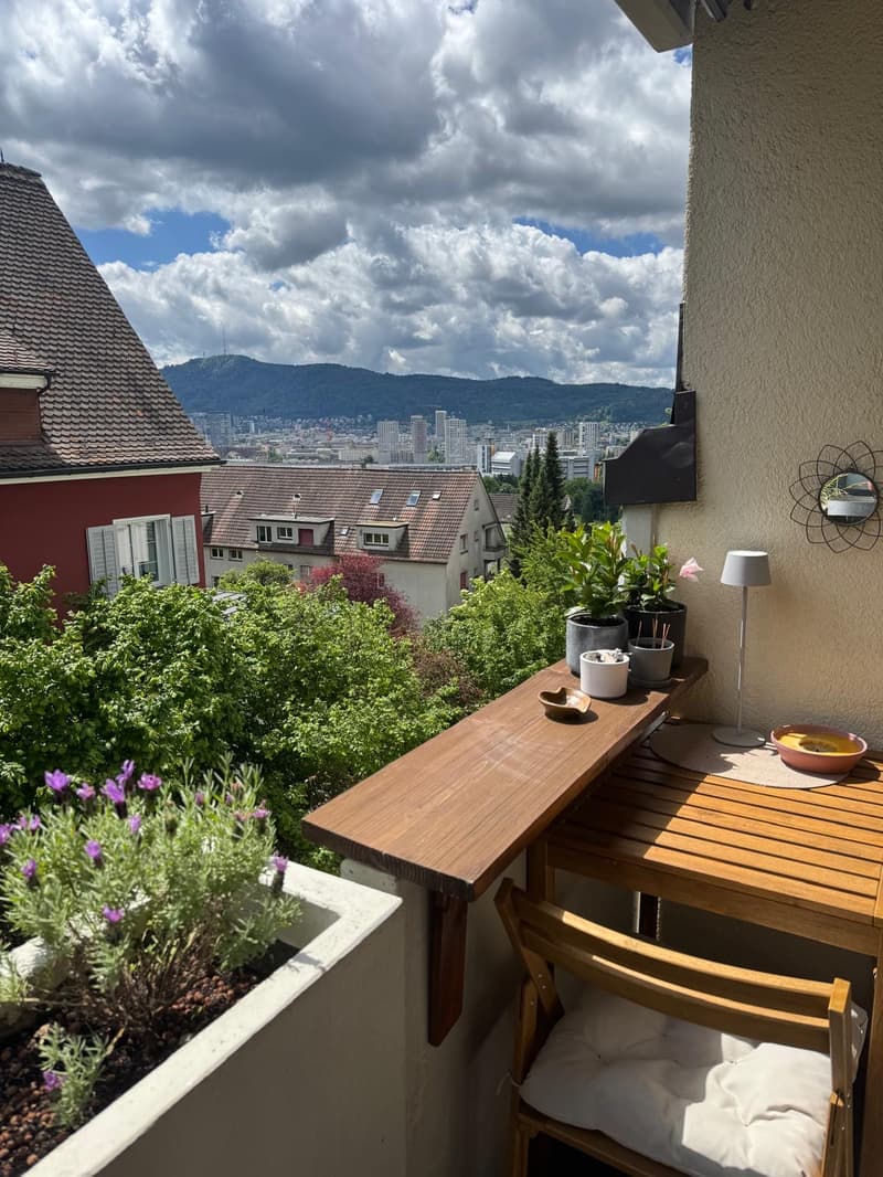 WG-Zimmer in Zürich (10)
