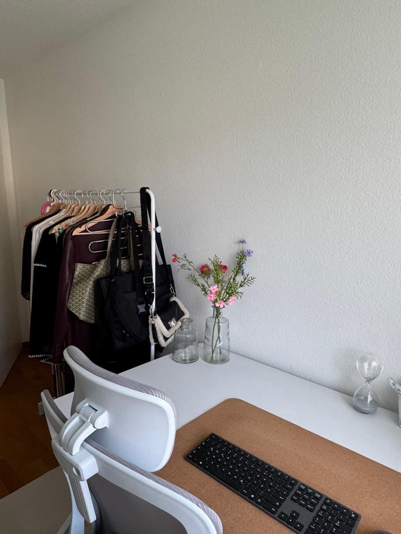 WG-Zimmer in Zürich (6)