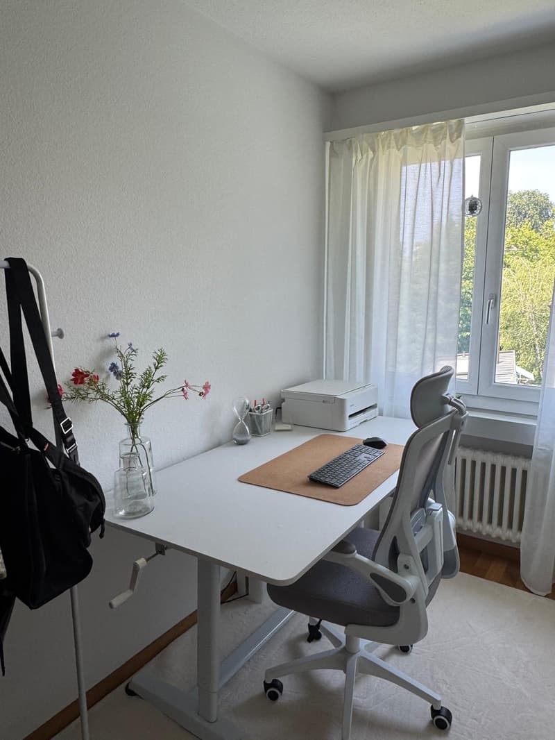 WG-Zimmer in Zürich (4)