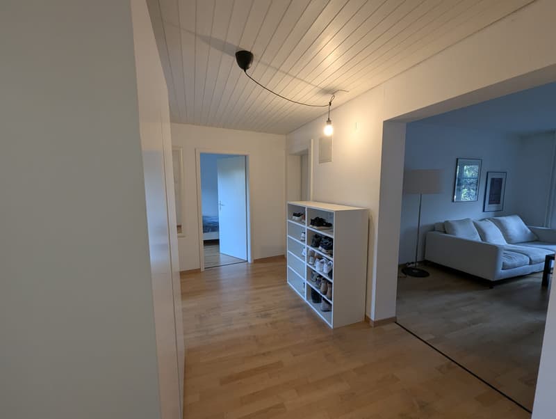 Room in shared flat in Zürich (3)