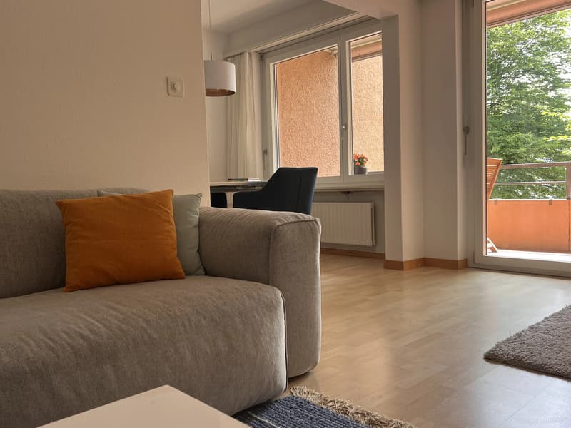 WG-Zimmer in Adliswil (4)