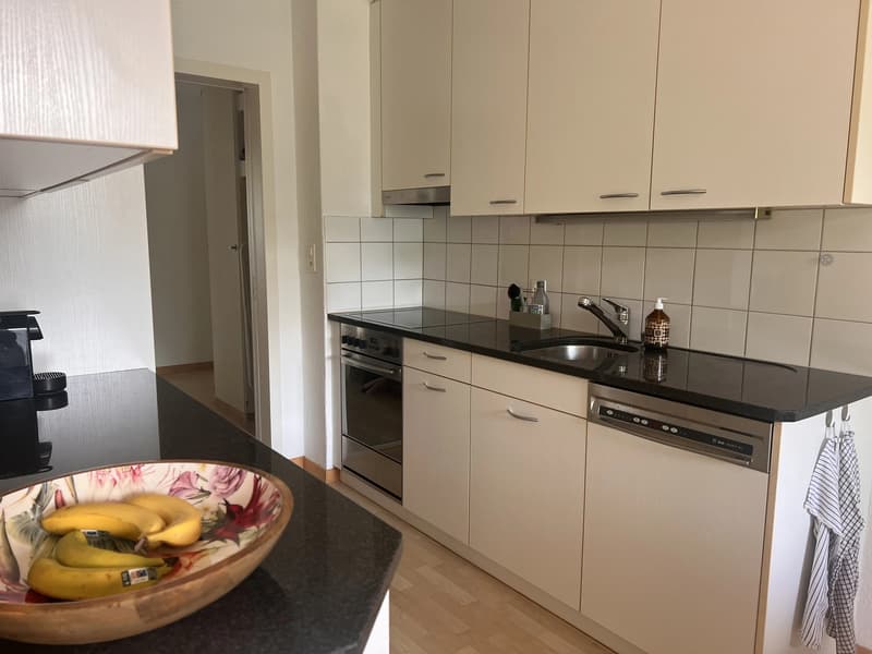 WG-Zimmer in Adliswil (2)