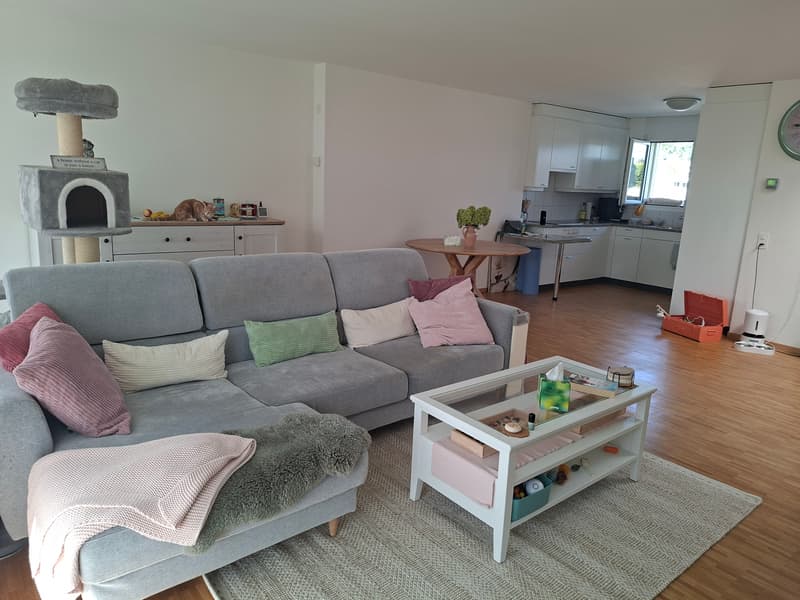 WG-Zimmer in Männedorf (3)