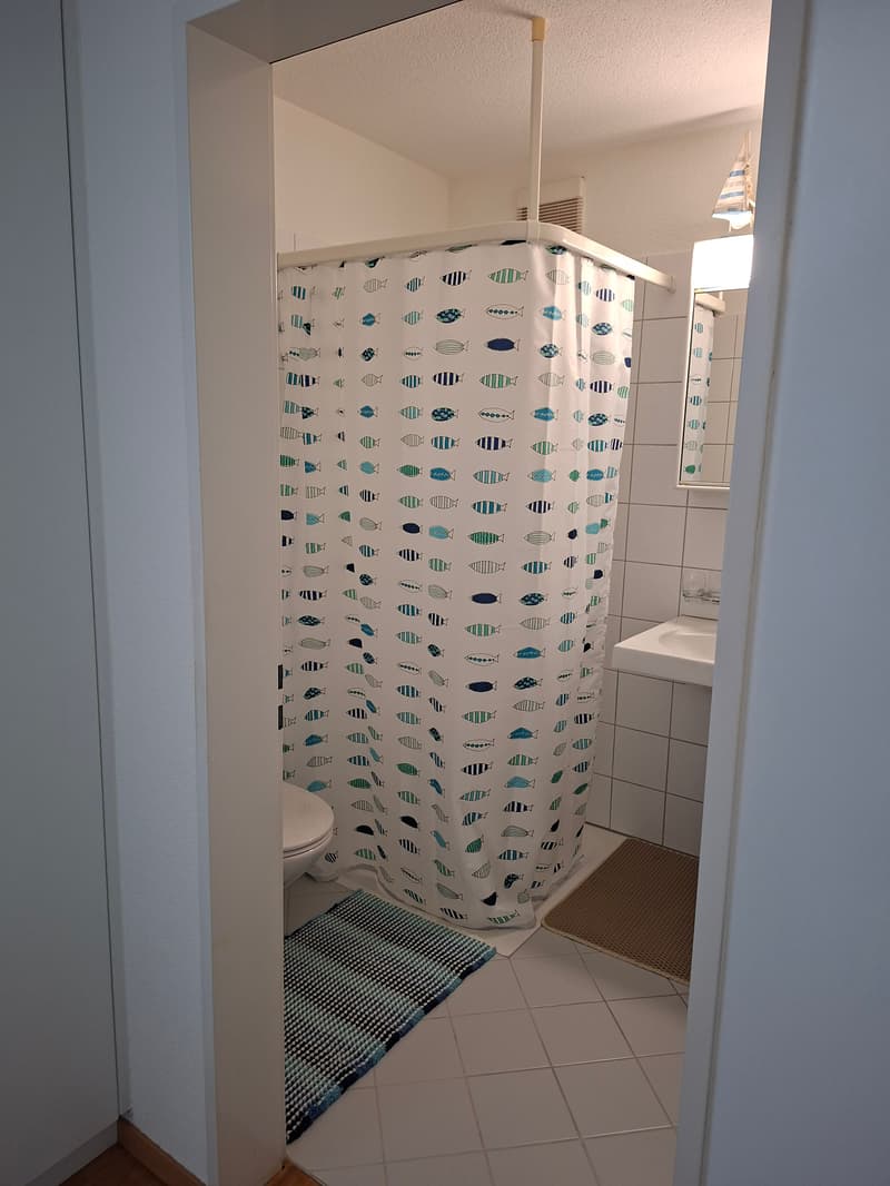 WG-Zimmer in Männedorf (4)