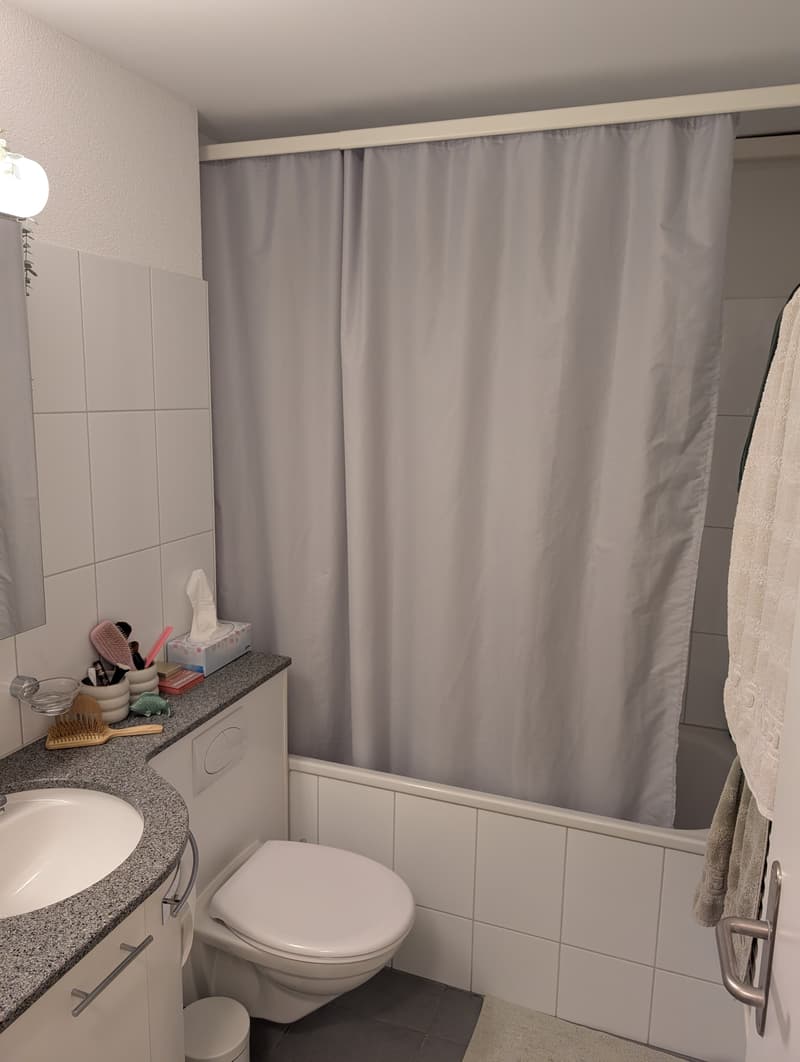 WG-Zimmer in Zürich (5)