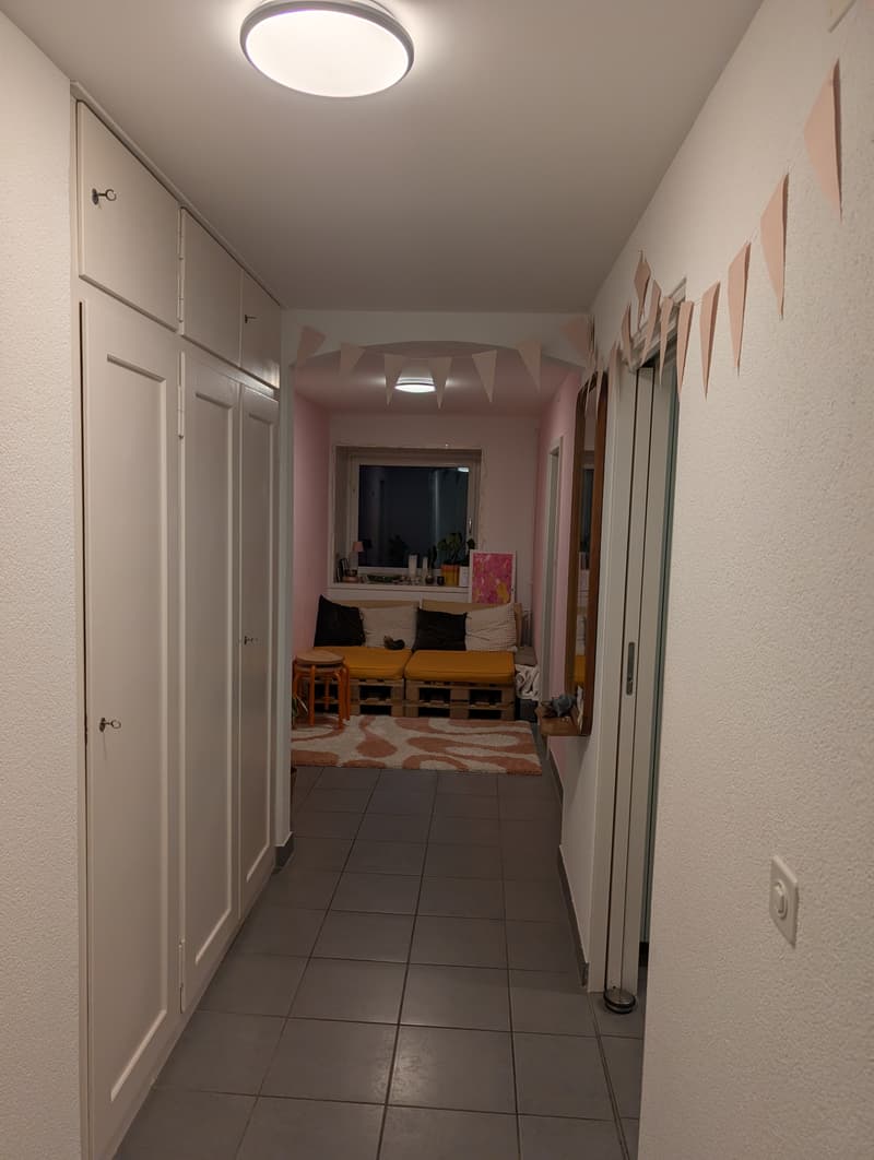 WG-Zimmer in Zürich (3)