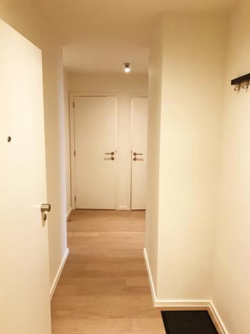 Room in shared flat in Winterthur (2)