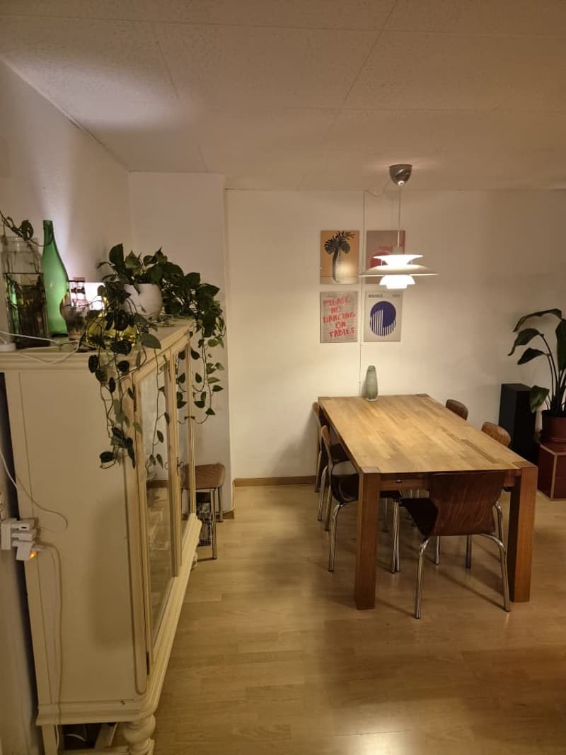 Chambre en colocation à Lausanne (3)