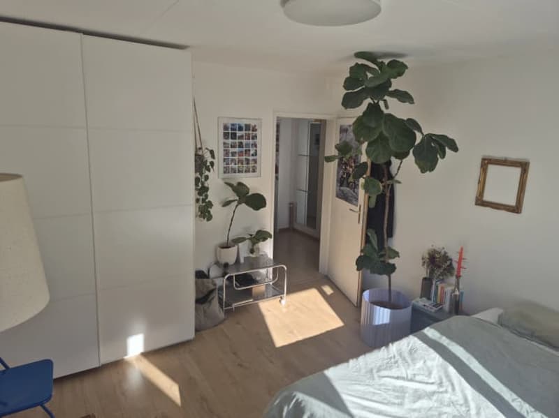 Chambre en colocation à Lausanne (2)