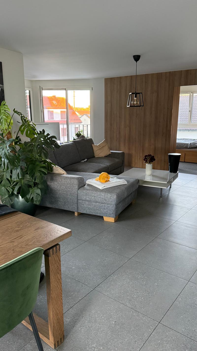 WG-Zimmer in Zürich (2)