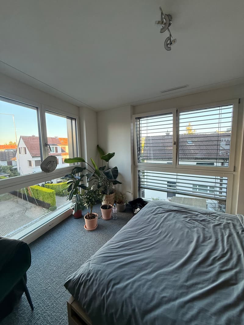WG-Zimmer in Zürich (5)