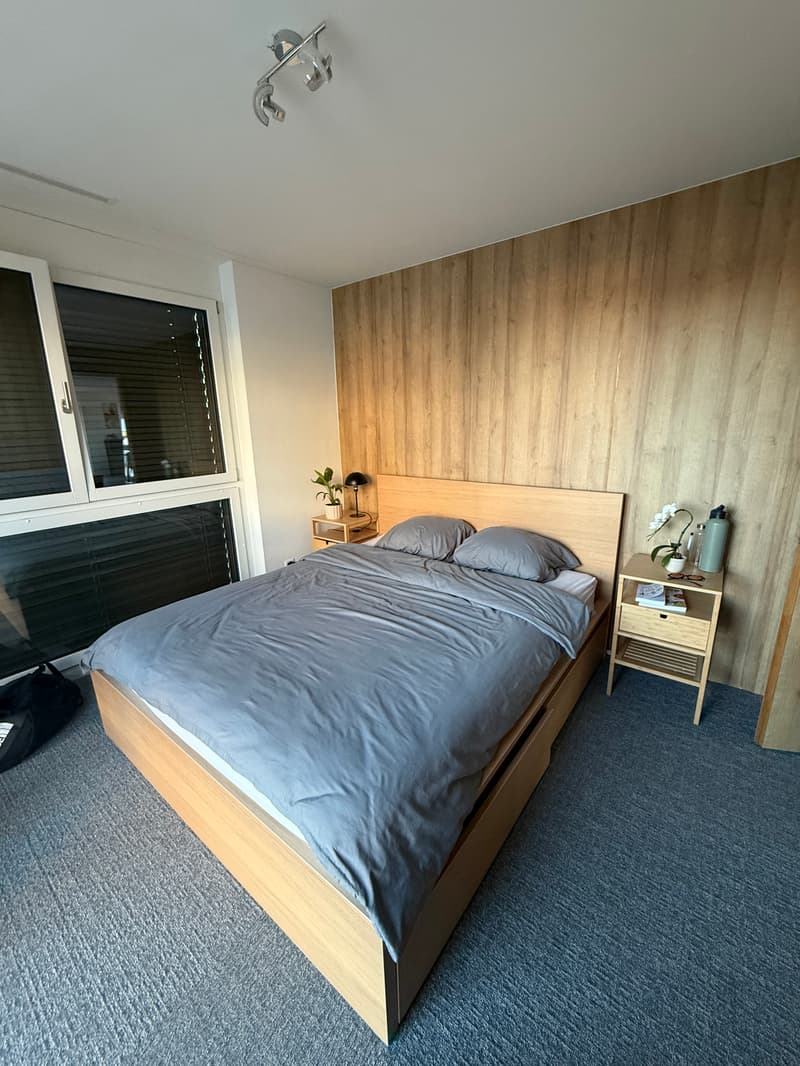 WG-Zimmer in Zürich (6)