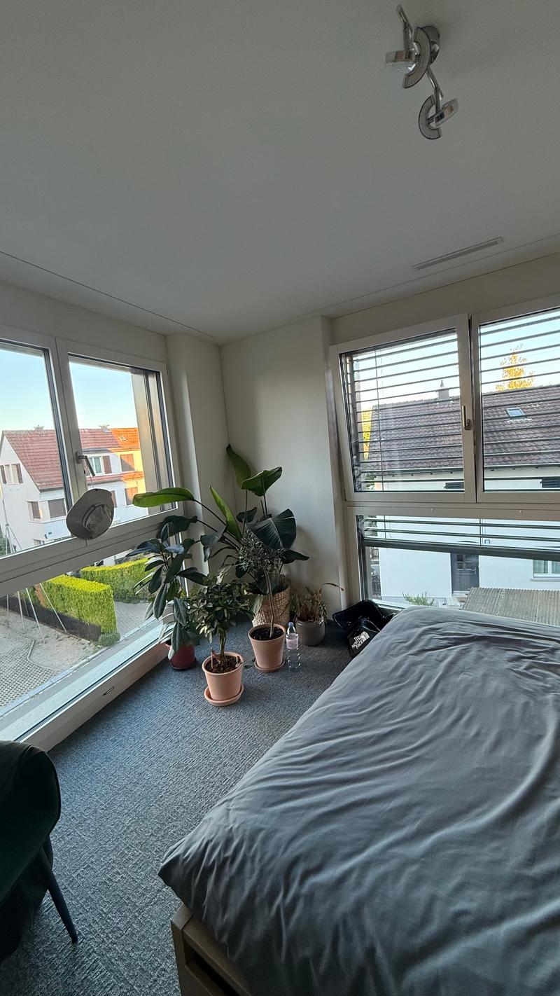 WG-Zimmer in Zürich (4)