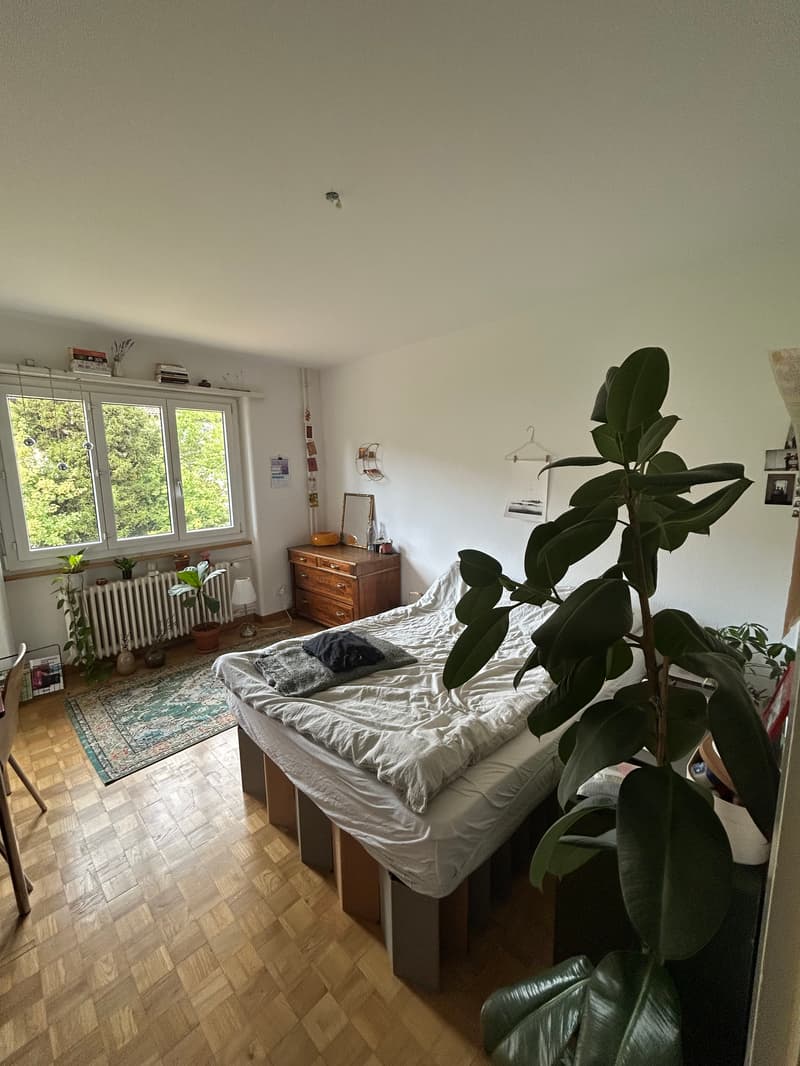WG-Zimmer in Bern (1)
