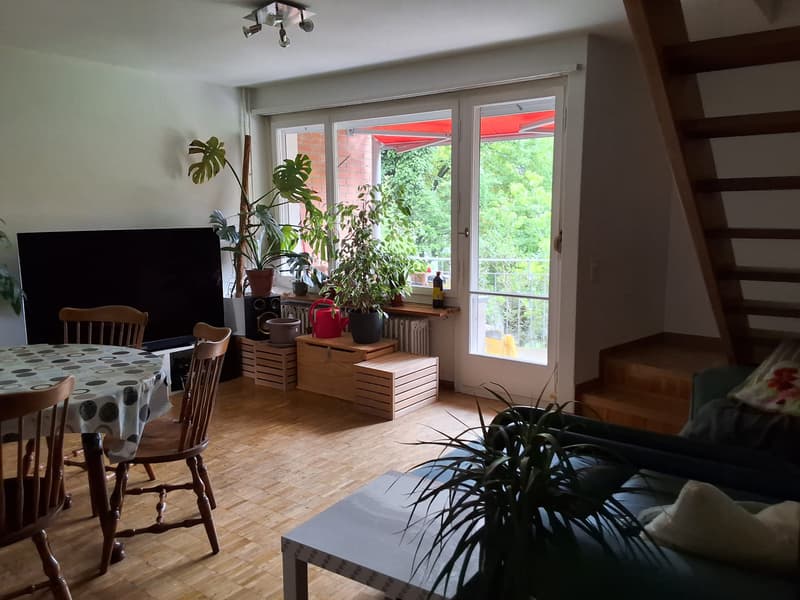 WG-Zimmer in Zürich (2)