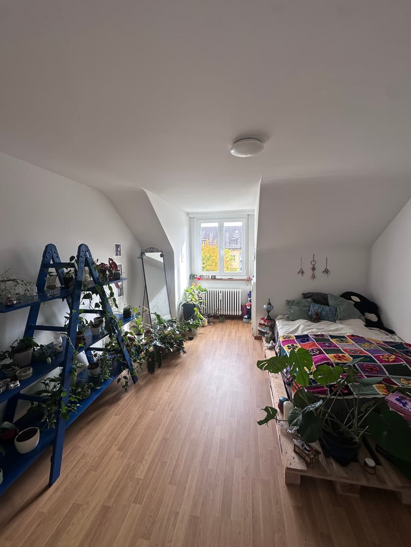 WG-Zimmer in Bern (1)