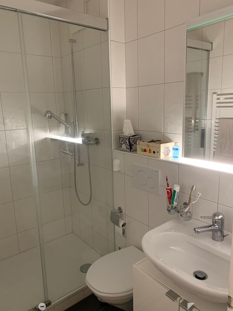 WG-Zimmer in Biel BE (4)