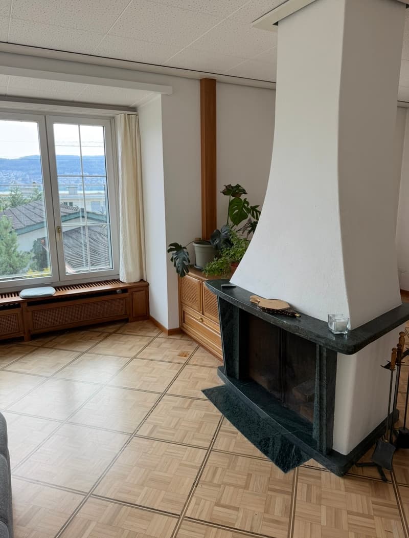 WG-Zimmer in Meilen (4)