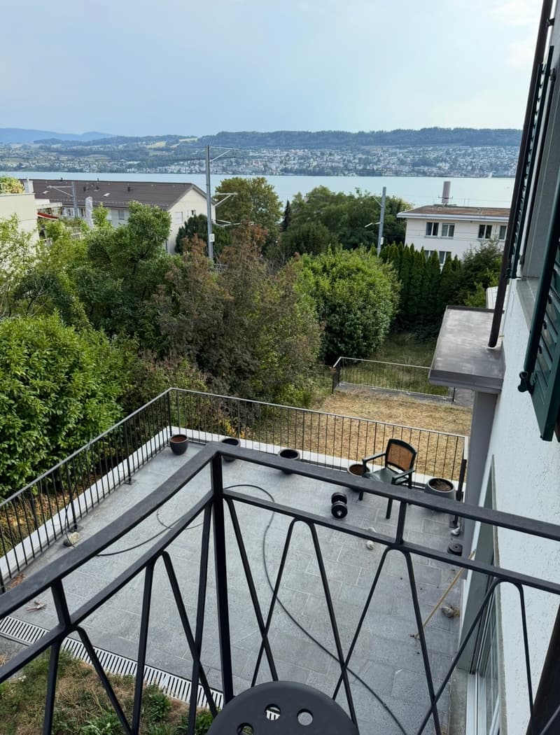 WG-Zimmer in Meilen (8)