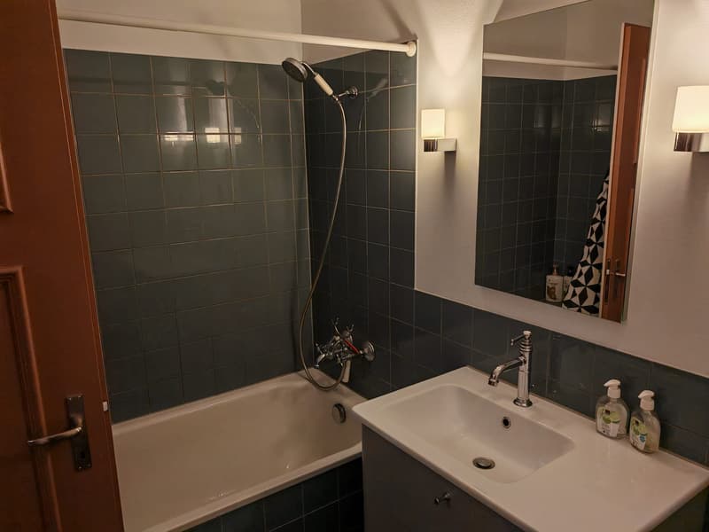 WG-Zimmer in Sursee (8)
