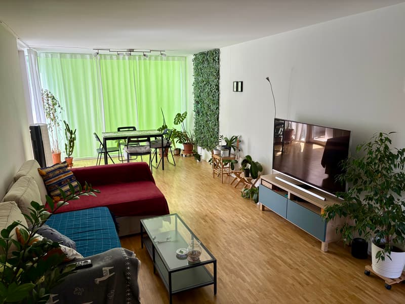 WG-Zimmer in Uster (3)
