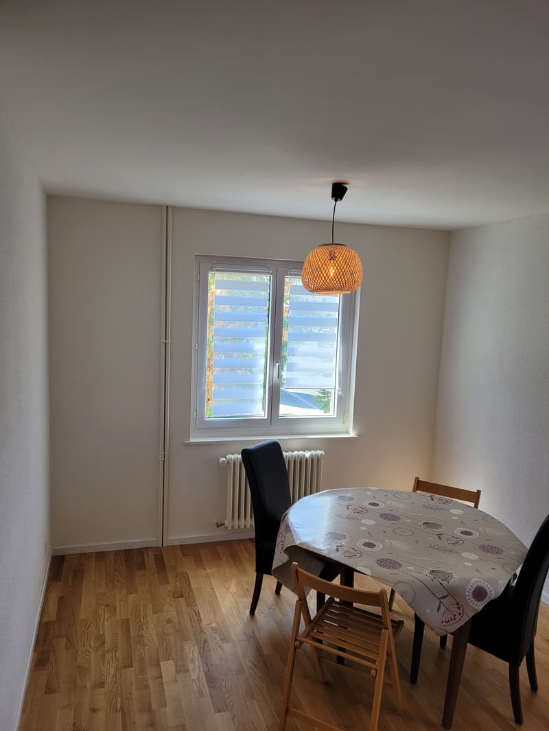 Chambre en colocation à Renens VD (16)