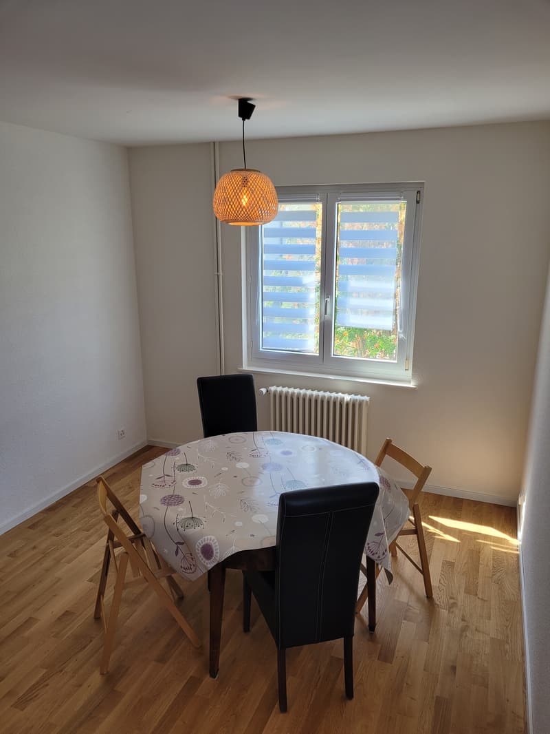 Chambre en colocation à Renens VD (15)