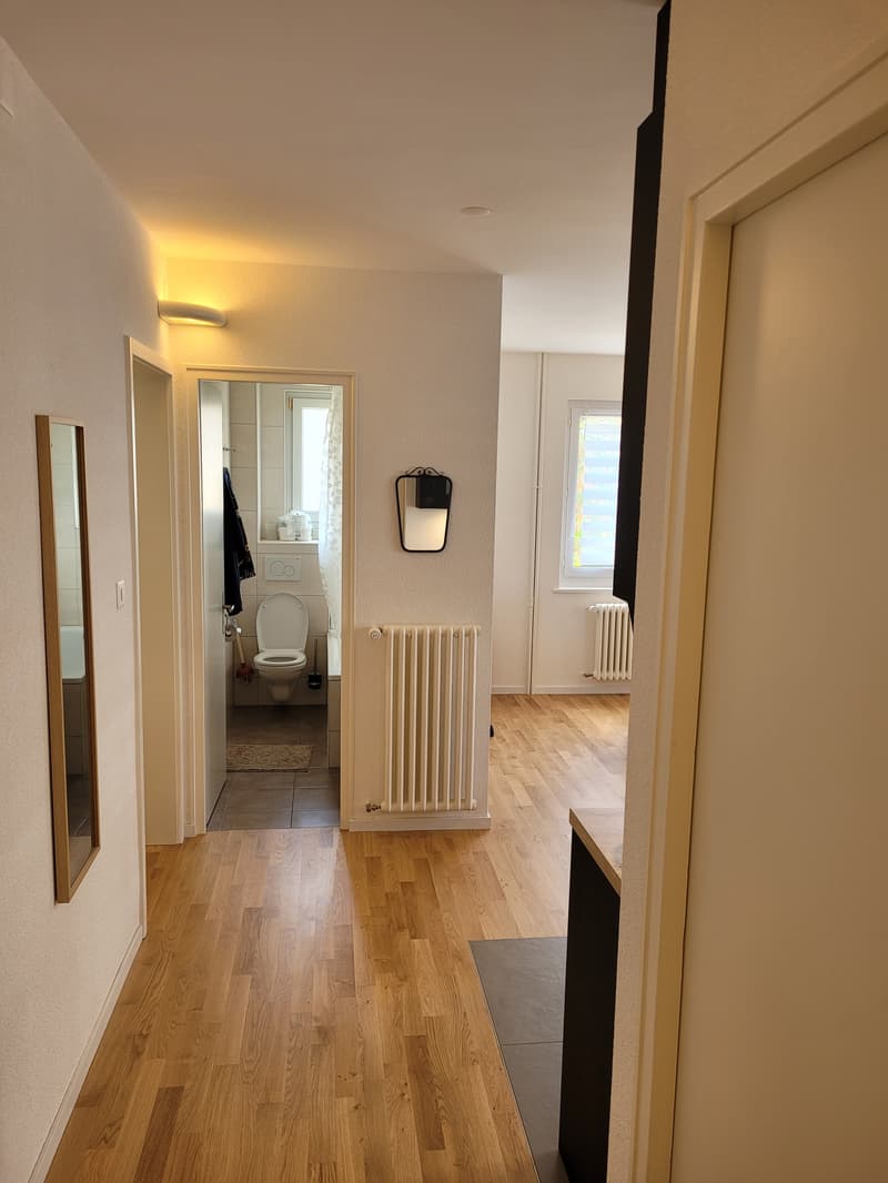 Chambre en colocation à Renens VD (10)