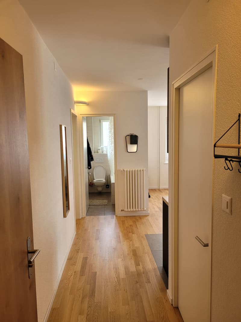 Chambre en colocation à Renens VD (11)