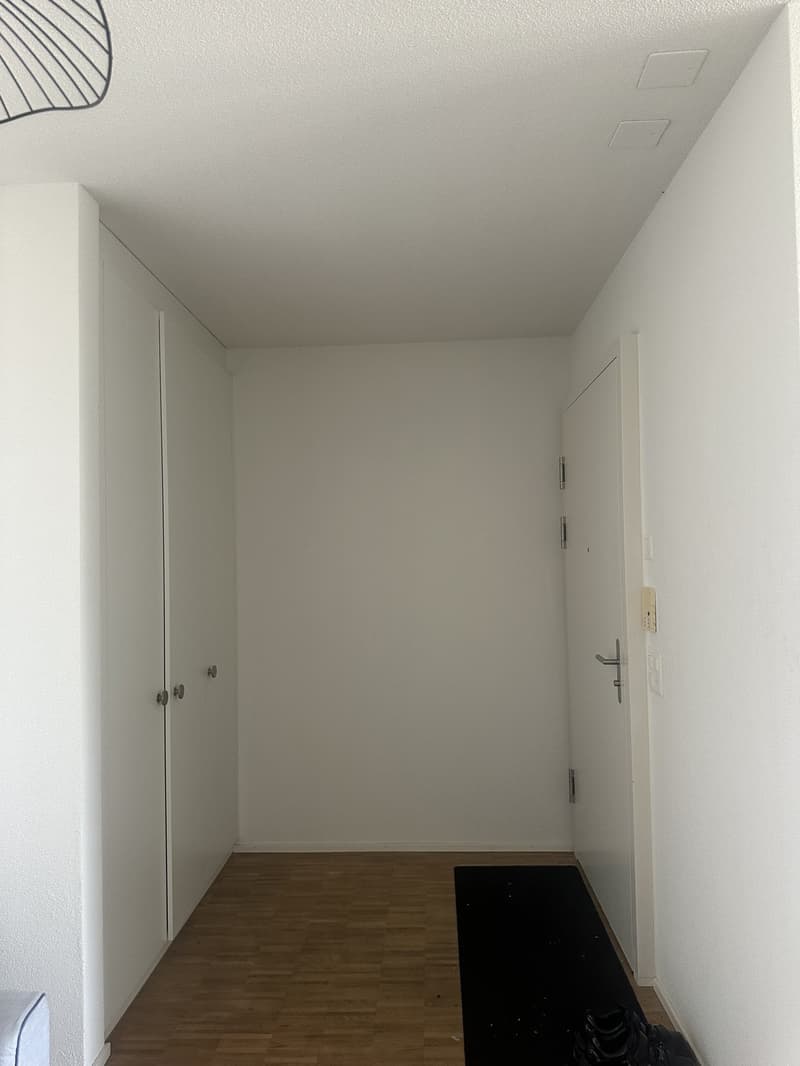 Möblierte Wohnung in Zürich (2)