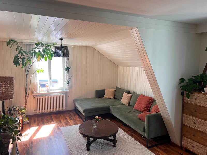 WG-Zimmer in Winterthur (7)